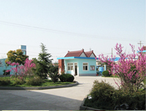 春天的良时 生机勃勃