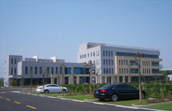 上海良时公司祝每位女员工三八节快乐